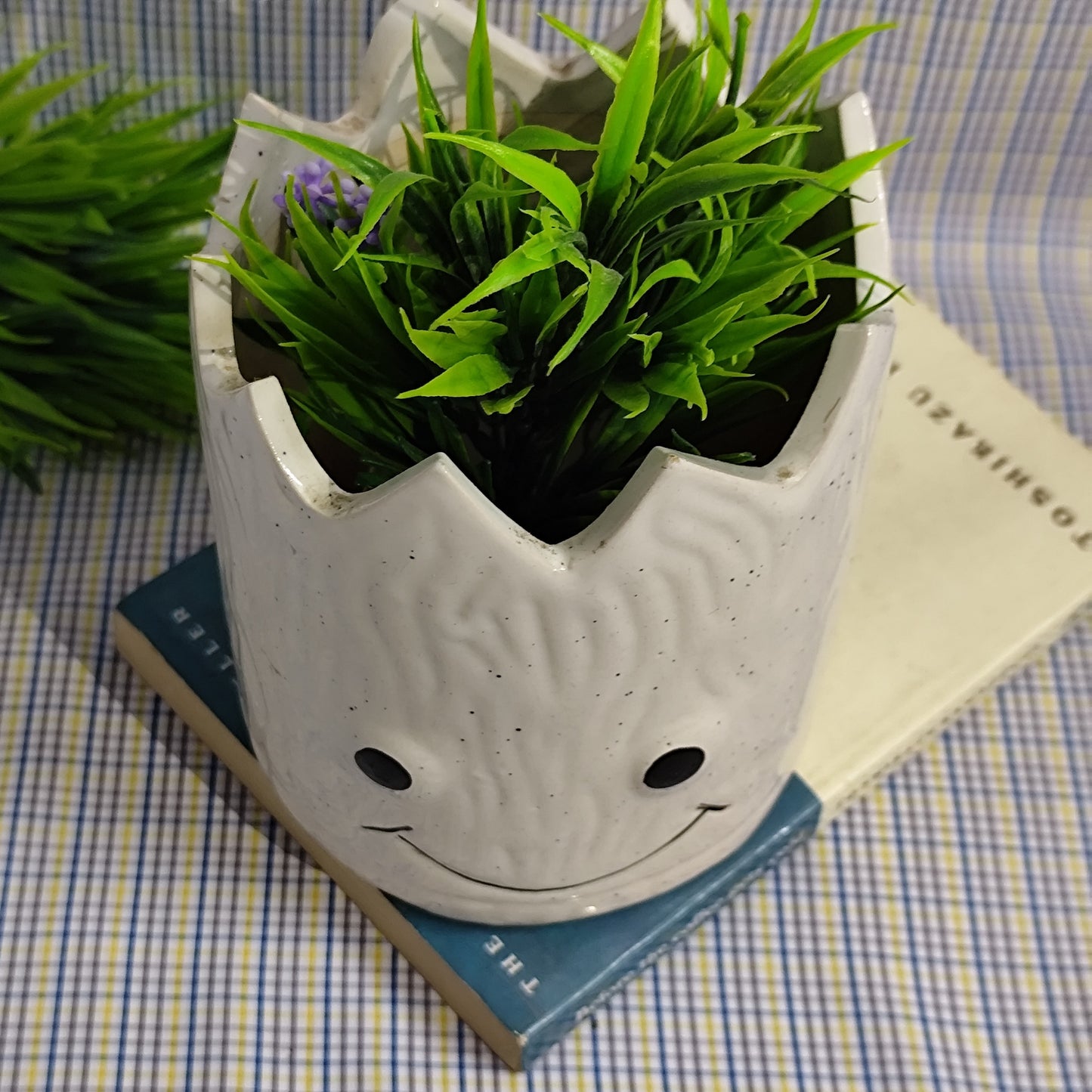 Happy Face Planter - White