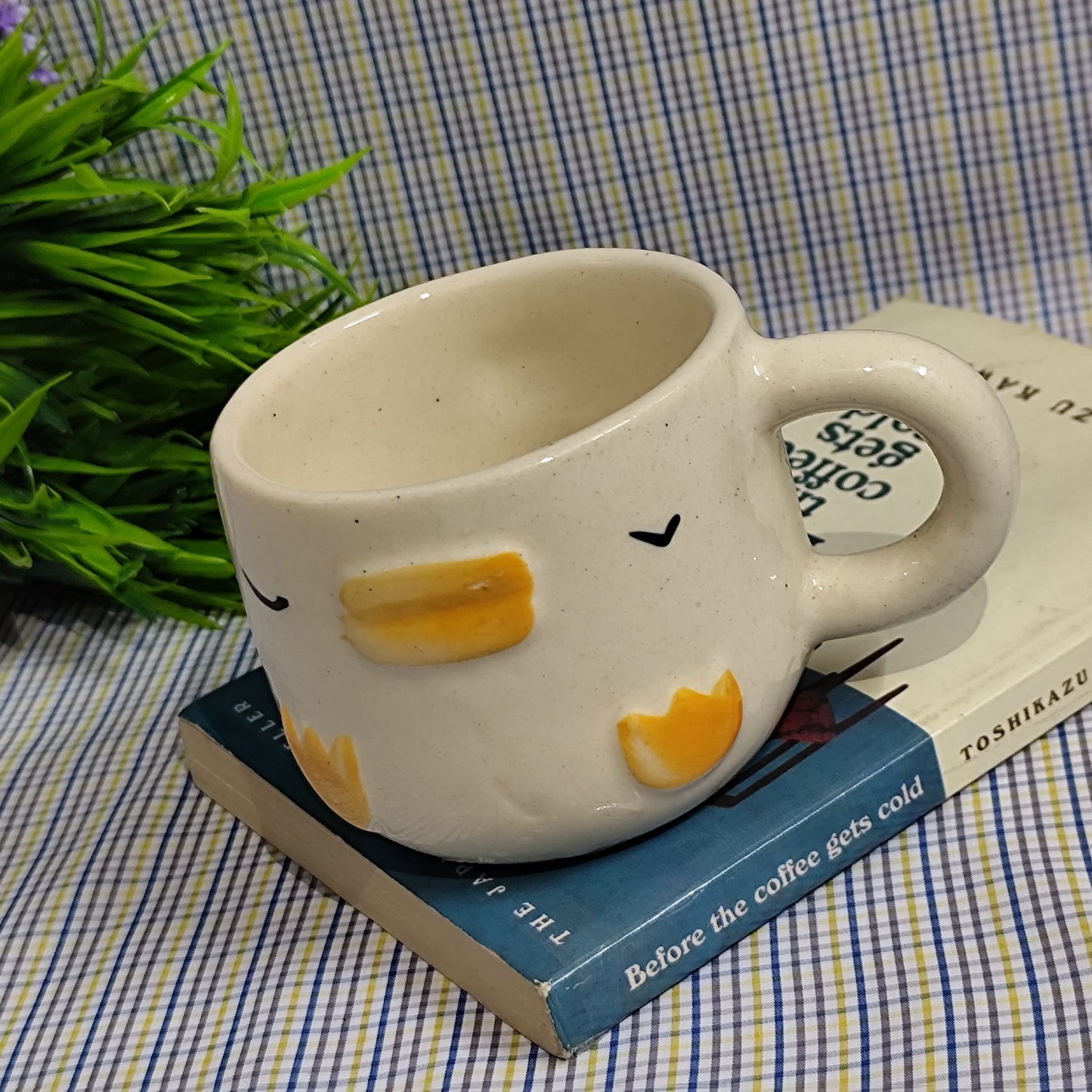 Sleeping Duck