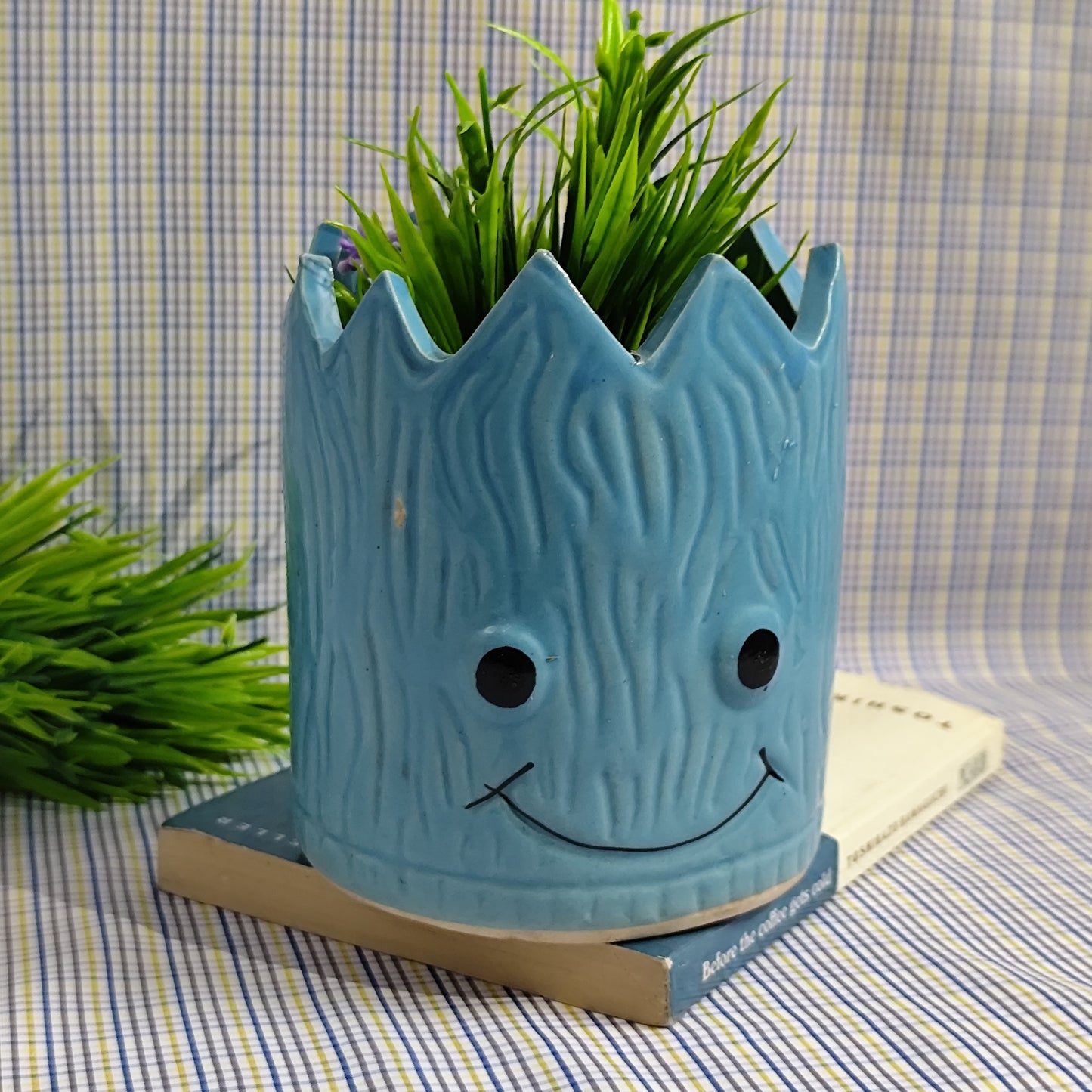 Happy Face Planter - Blue